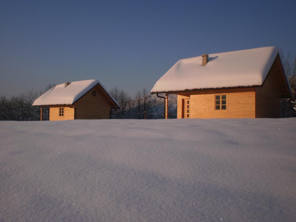 Holiday Homes Eko Klanac Rakovica Værelse billede